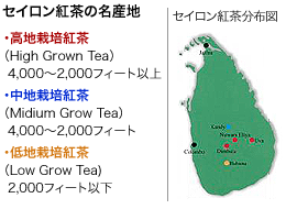 セイロン紅茶の名産地　地図